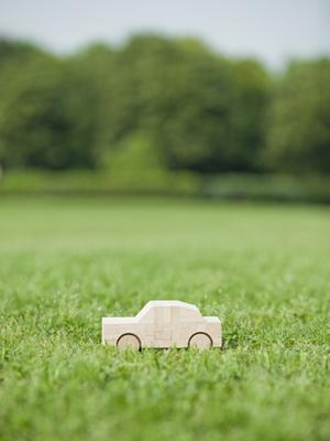 稲沢市で軽自動車購入なら新古車専門店へ