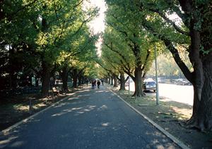 合宿免許の魅力と口コミ評価！お得な格安プランも紹介します！