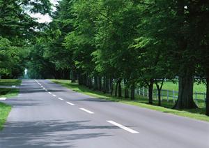 お得なカーリスなら稲沢市のここで