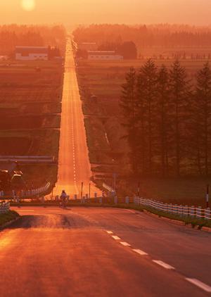 明確な費用でサービス充実の車検