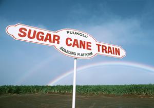 輸入車パーツの専門店PartsWeb（パーツウエブ）大衆自動車商会 あいち店の詳細とサービス内容