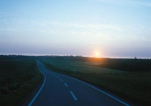 岡山で選ぶべきカーリースの最新事情2025年版：賢い選択とお得なポイント